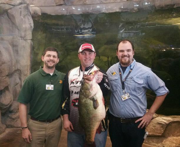 New Tennessee State Record Largemouth