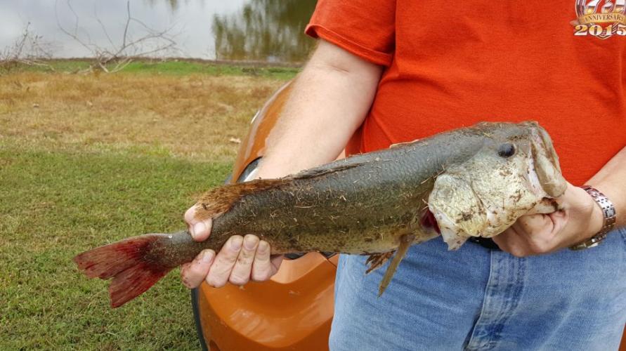 Braggin' Board Photo: Getting Bigger!!!!!