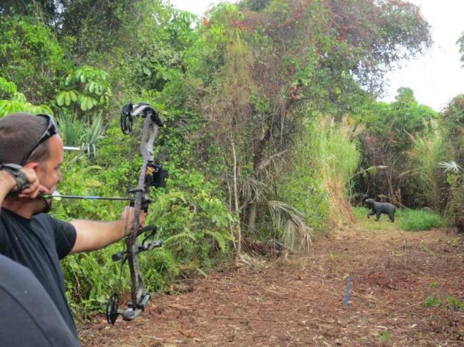 Braggin' Board Photo: Target Practice