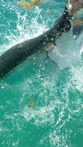 Braggin' Board Photo: Saltwater fishing