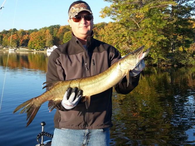 Braggin' Board Photo: Nice Little Muskie