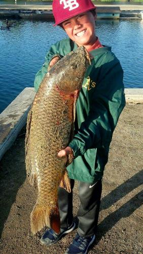 Braggin' Board Photo: Carp caught at Pinto Lake