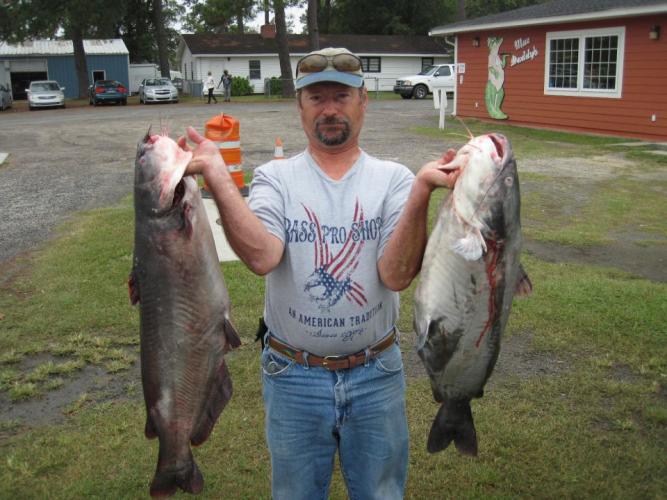 Braggin' Board Photo: Two Big Catfish