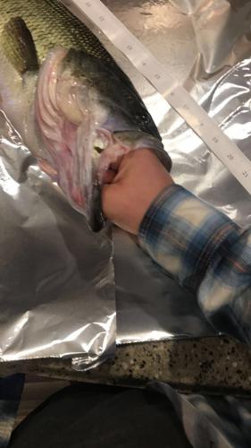 Braggin' Board Photo: Big mouth Bass