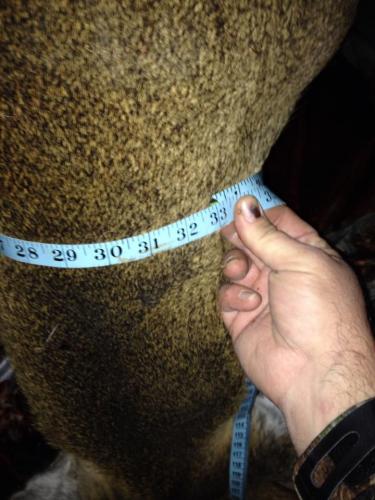 Braggin' Board Photo: SE Iowa Deer Hunting1426220 630550136984264 594325989 n