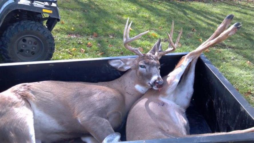 Braggin' Board Photo: 8 POINT 2013