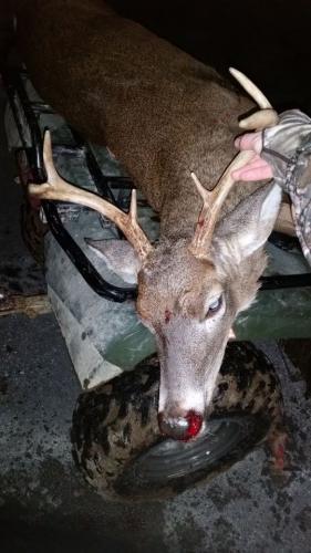Braggin' Board Photo: 6 point Whitetail