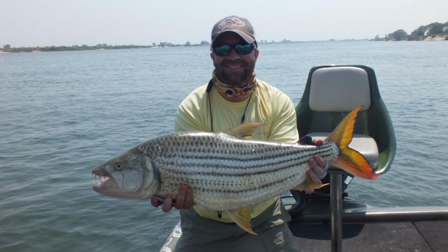 Braggin' Board Photo: Zambezi Tiger Fish
