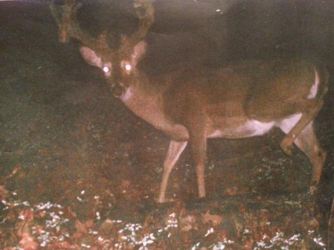 Braggin' Board Photo: cactus buck 2