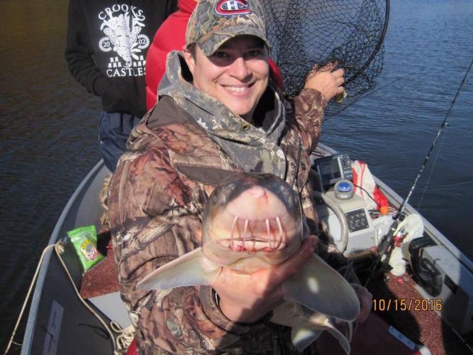 Kennebecasis Sturgeon Braggin' Board Photo: Kennebecasis Sturgeon