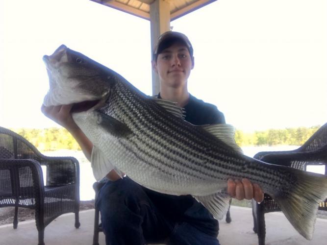 Braggin' Board Photo: Nice Striper Bass