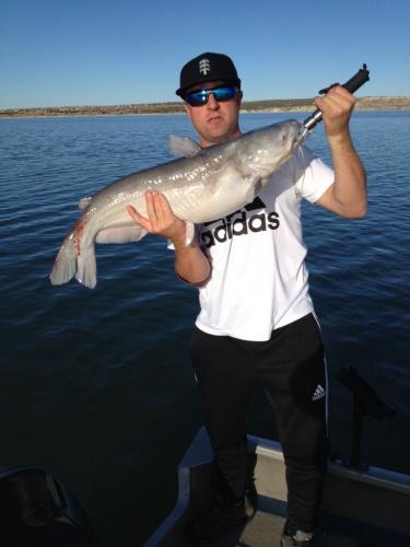 Braggin' Board Photo: Catfish Heaven