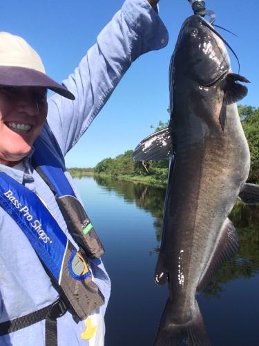 Braggin' Board Photo: Nice Catfish