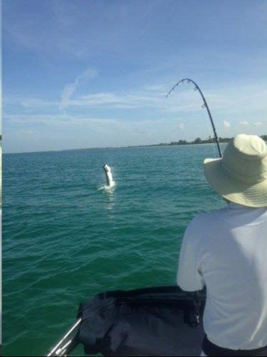 Braggin' Board Photo: tarpon jump