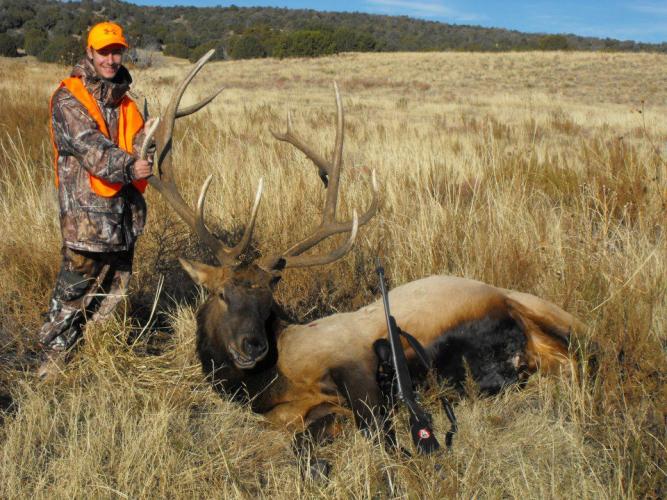 Braggin' Board Photo: Nice Elk