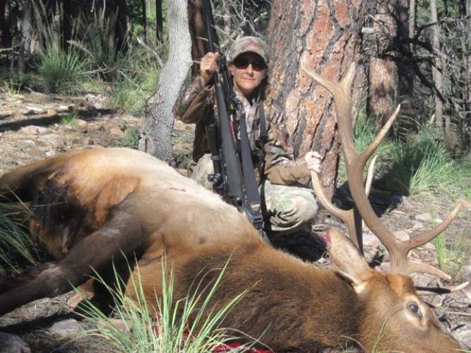 Braggin' Board Photo: My first bull elk october2014