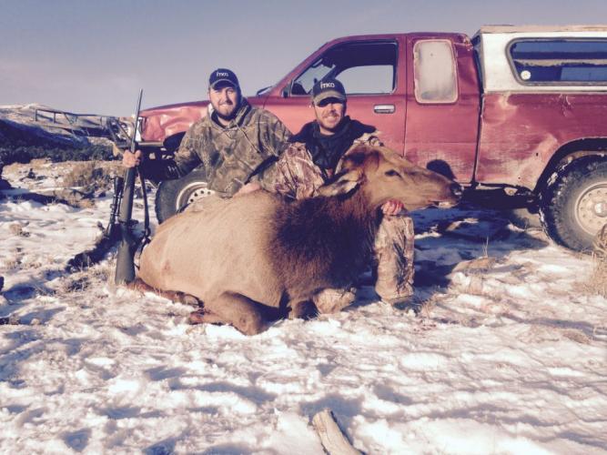 550 lb Cow Elk Braggin' Board Photo: 550 lb Cow Elk