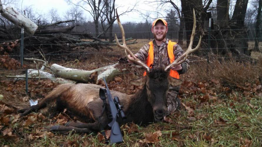 Braggin' Board Photo: 2014 Elk