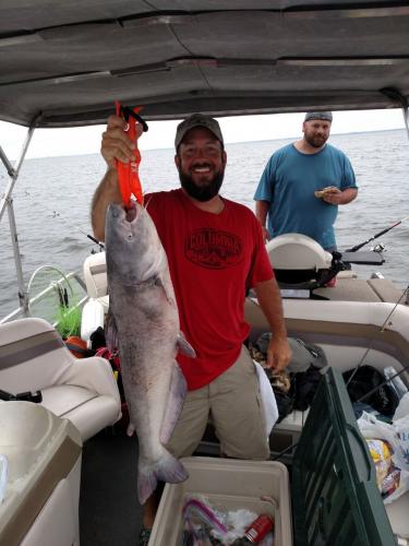 Braggin' Board Photo: Good Day Catfishing