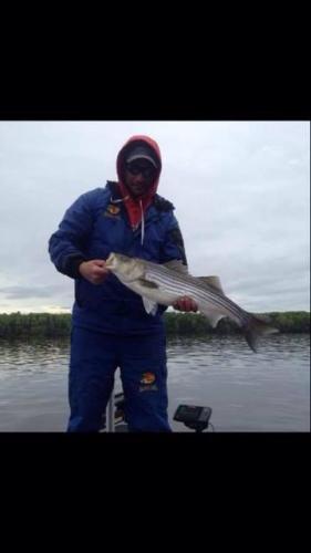 Cory's Striper Braggin' Board Photo: Cory's Striper