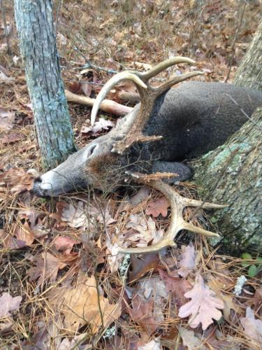 Braggin' Board Photo: 2014 Deer Season