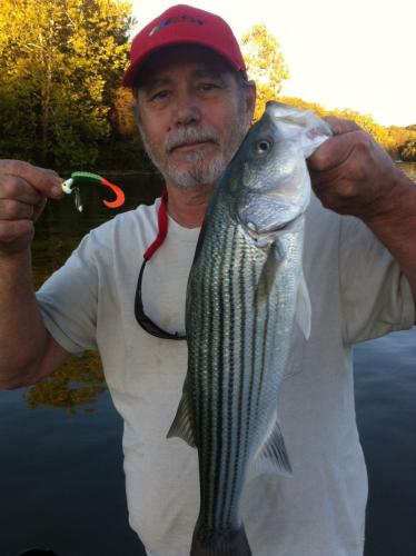 Braggin' Board Photo: Big White Bass