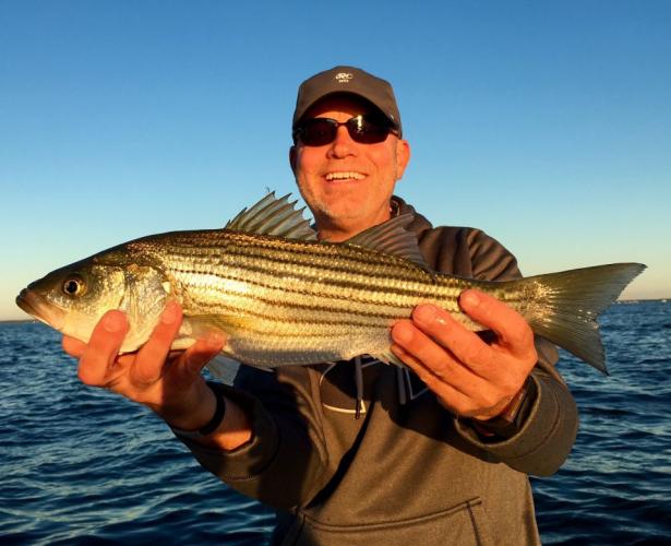 Braggin' Board Photo: Striped bass