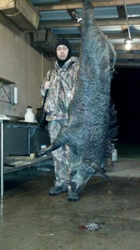 Braggin' Board Photo: Hog pic