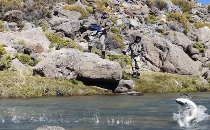Braggin' Board Photo: Double-digit rainbow trout