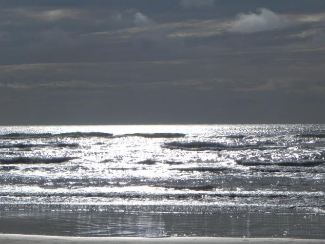 Braggin' Board Photo: Texas Gulf