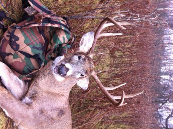 Braggin' Board Photo: Buck