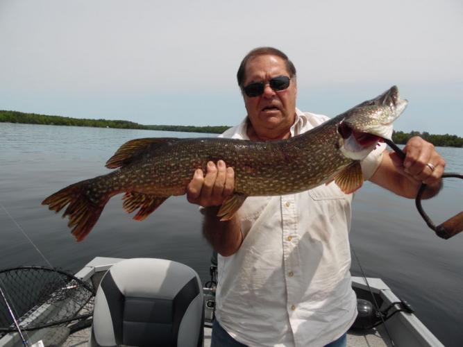 10 lb 34 inch Pike Braggin' Board Photo: 10 lb 34 inch Pike