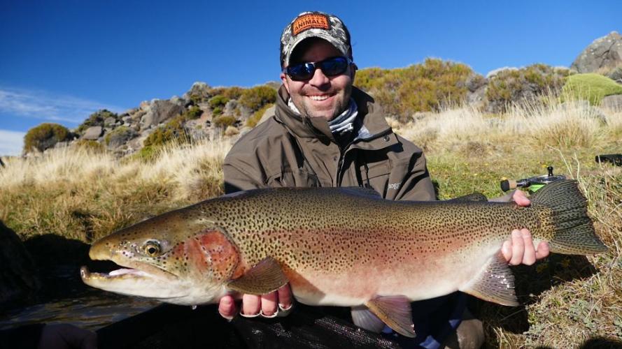 Braggin' Board Photo: Massive Rainbow Trout