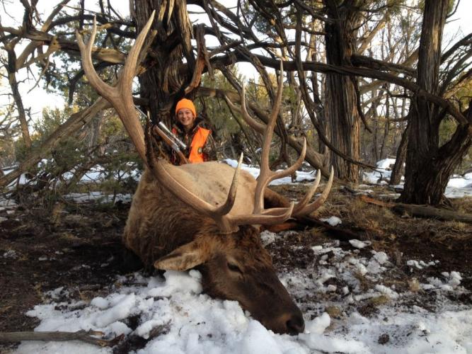 Braggin' Board Photo: Elk photo 121  2