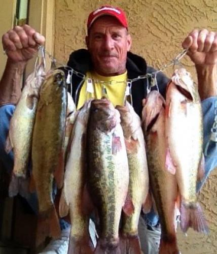 Braggin' Board Photo: Stringer of Bass