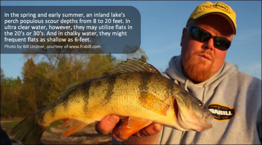 Brian Brosdahl With Perch Tips Braggin' Board Photo: Brian Brosdahl With Perch Tips