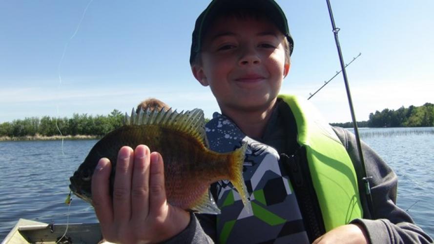 Panfishing Braggin' Board Photo: Panfishing