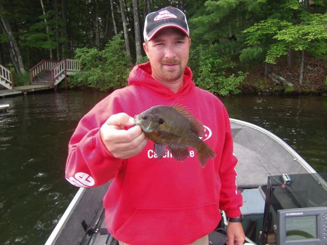 Berkley Gulp Alive Maggots Catch Gills Braggin' Board Photo: Berkley Gulp Alive Maggots Catch Gills