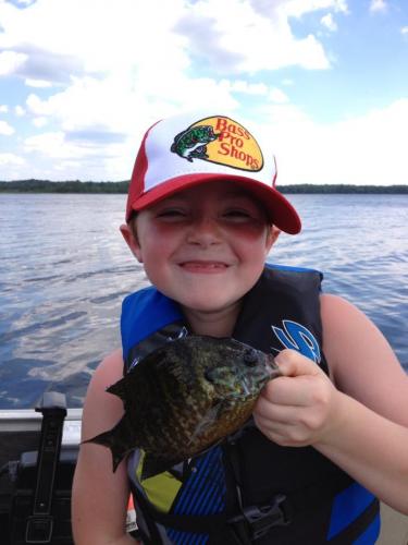 Nice Blue Gill Caught on Berkley Gulp Alive Maggots Braggin' Board Photo: Nice Blue Gill Caught on Berkley Gulp Alive Maggots