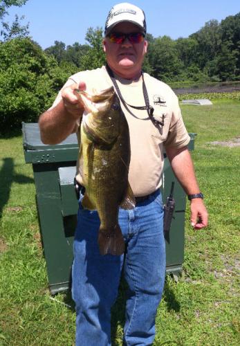 Not a bad way to spend your lunch hour! Braggin' Board Photo: Not a bad way to spend your lunch hour!