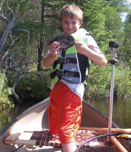 Back Woods Lake Big Blue Gill in the Golden Hawk Canoe Braggin' Board Photo: Back Woods Lake Big Blue Gill in the Golden Hawk Canoe