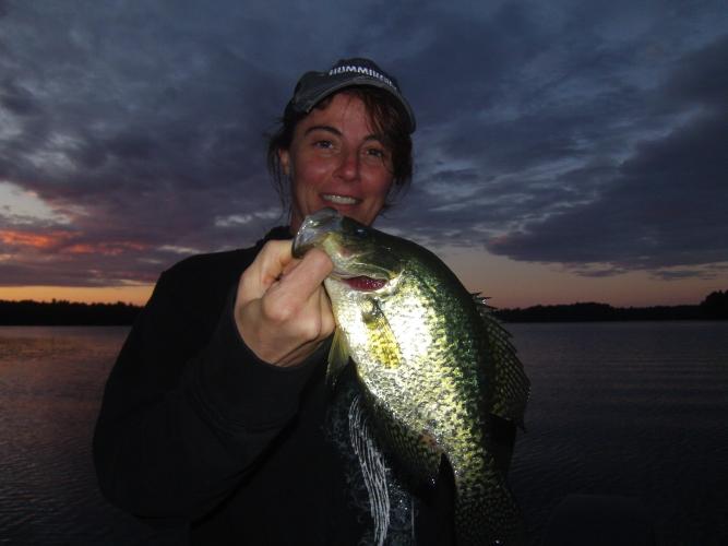 Black Crappie on Gulp Alive Braggin' Board Photo: Black Crappie on Gulp Alive