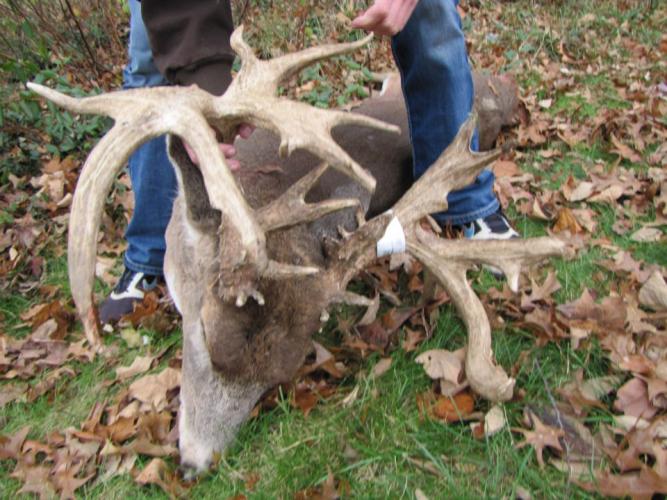 Braggin' Board Photo: JP Buck dbl drop tine 4