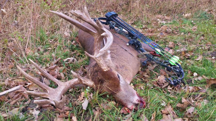 Braggin' Board Photo: 2014 Bow Season Buck