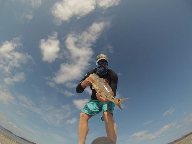 Braggin' Board Photo: Super Shrimp Really Works