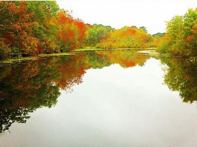 Braggin' Board Photo: Fall Trees on the Water in Connecticut