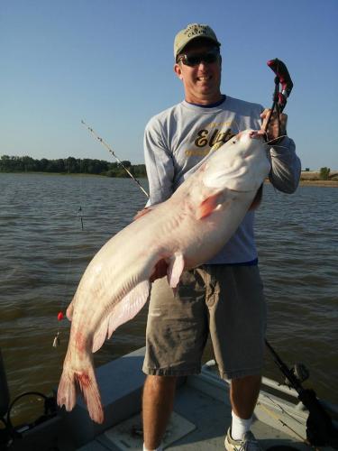 Big Blue Catfish From Truman Lake Braggin' Board Photo: Big Blue Catfish From Truman Lake