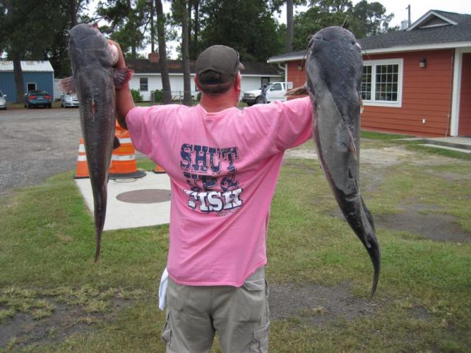 Braggin' Board Photo: Nice Catfish