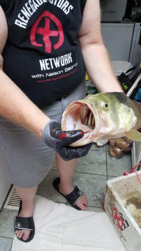 Braggin' Board Photo: This is the BIG BOY!!