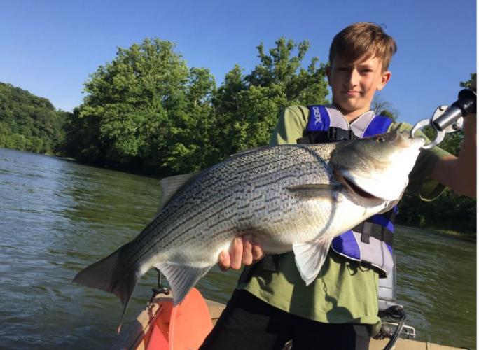 Braggin' Board Photo: Wow - Look a this hybrid